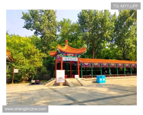 南戴河娱乐国际中心旅游安全指南与注意事项，保障您的出行无忧