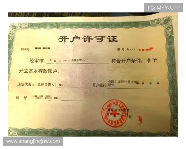 PG官网现金开户许可证办理流程详解帮助玩家顺利完成账户开设